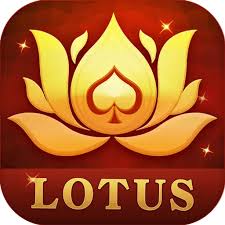 teen patti bliss app download download